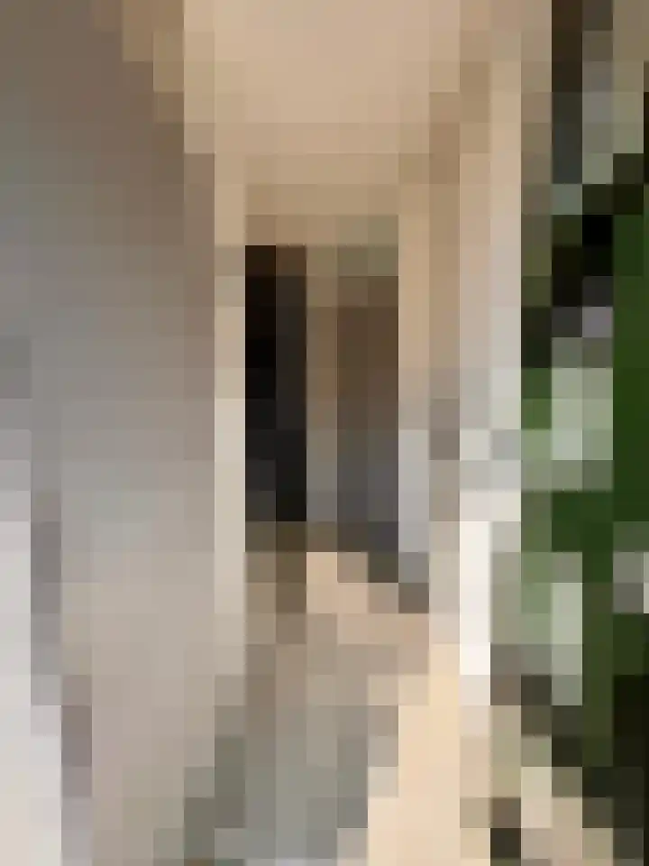 Het Som 35 Zeewolde thumbnail 7