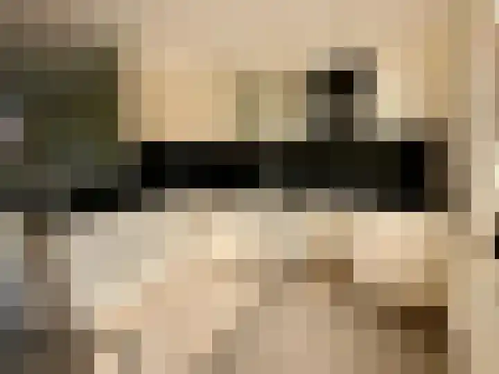 Het Som 35 Zeewolde thumbnail 9