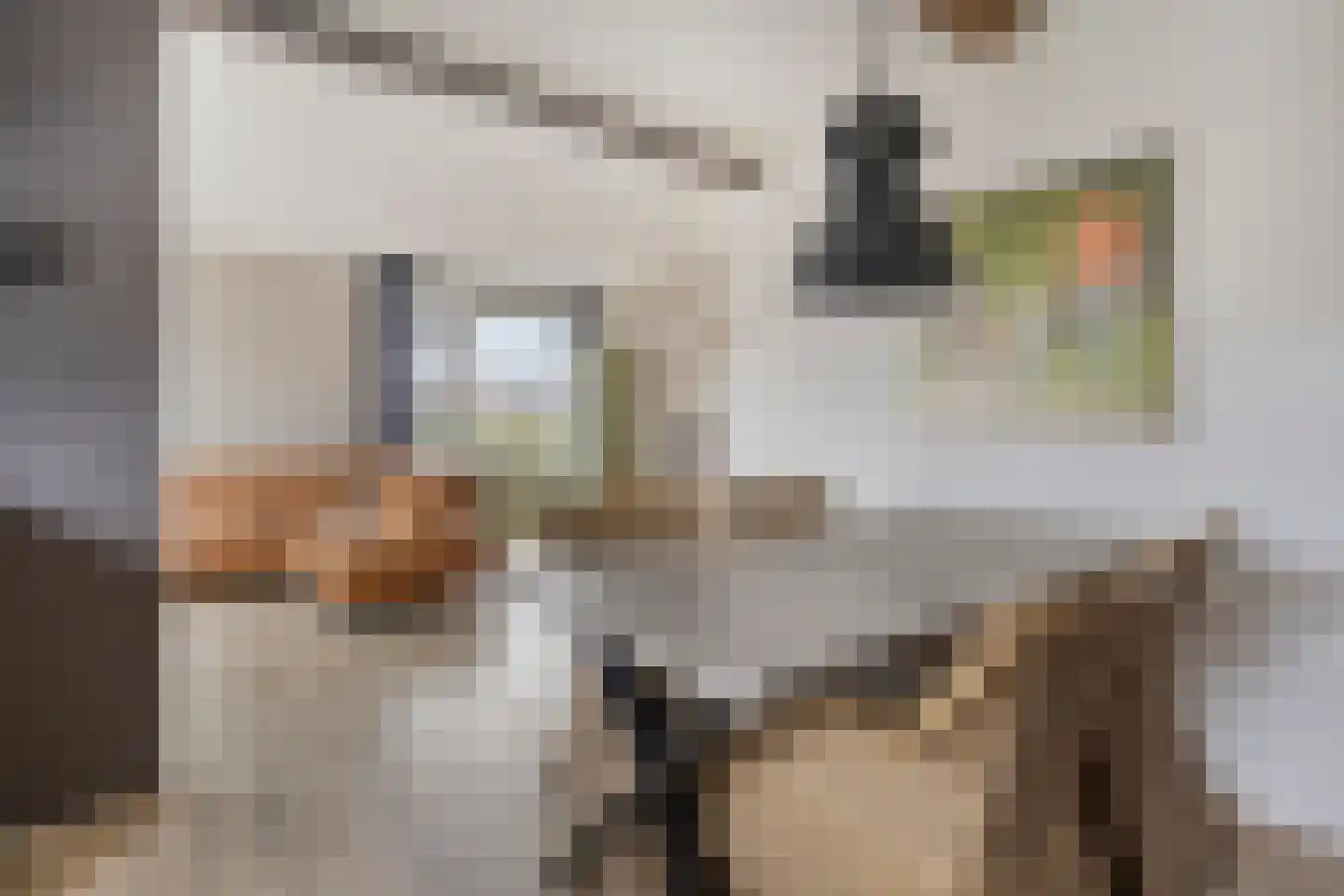 Het Spaan 11 Barger-Compascuum thumbnail 19