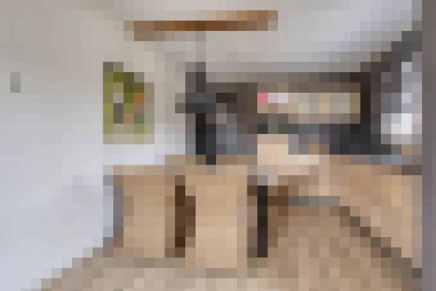 Het Spaan 11 Barger-Compascuum thumbnail 20