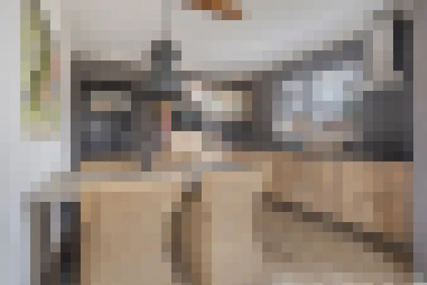 Het Spaan 11 Barger-Compascuum thumbnail 21