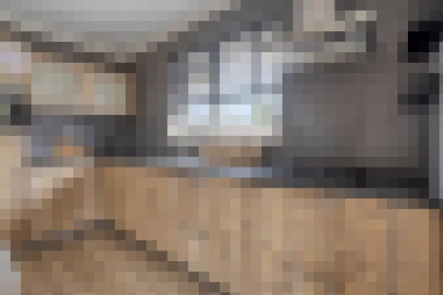 Het Spaan 11 Barger-Compascuum thumbnail 23
