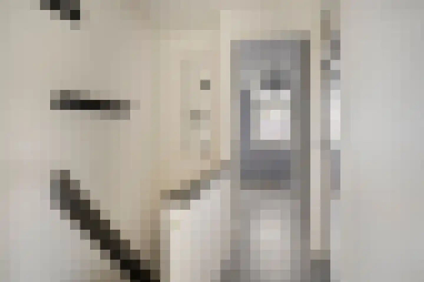 Het Spaan 11 Barger-Compascuum thumbnail 32
