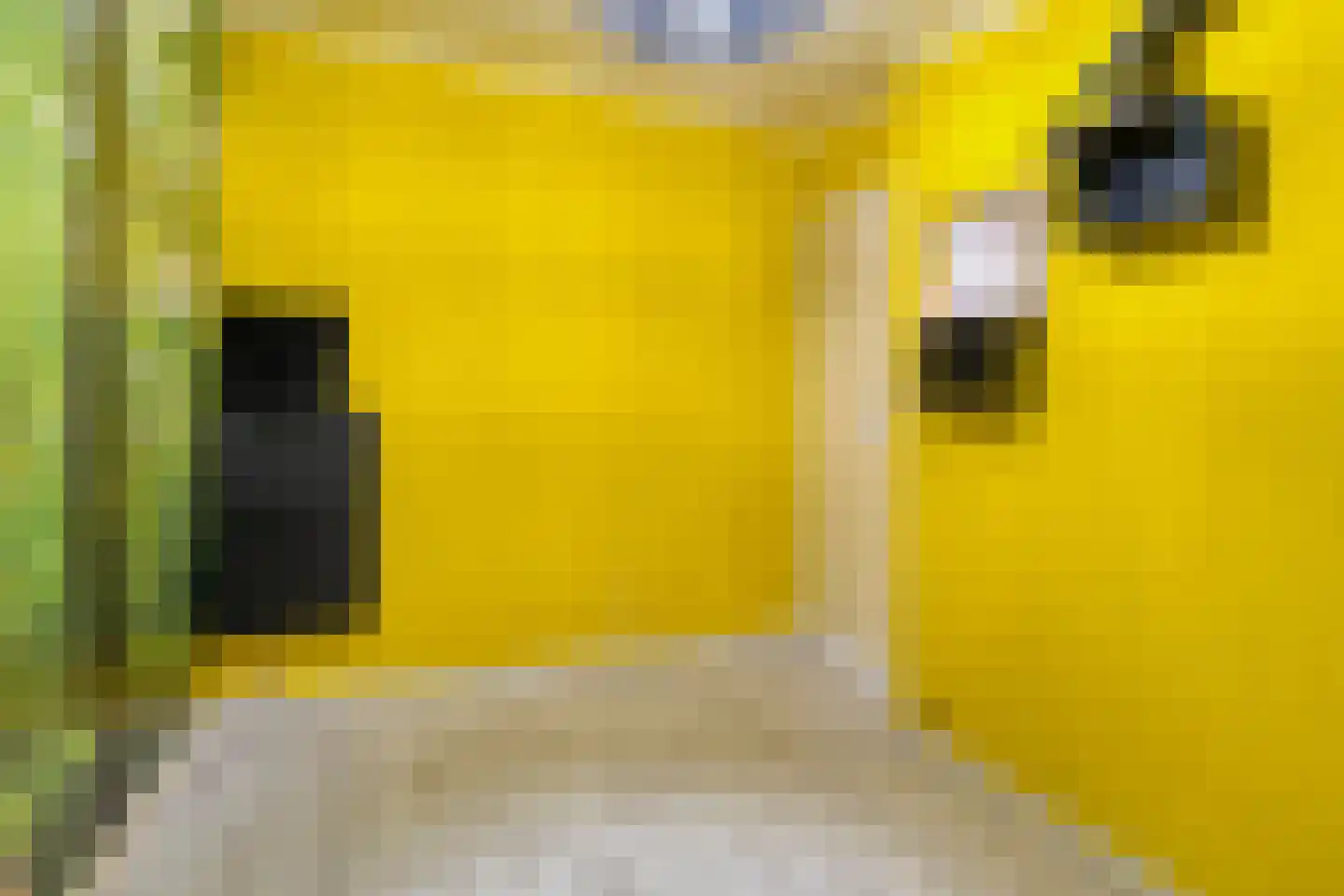 Het Spaan 11 Barger-Compascuum thumbnail 38
