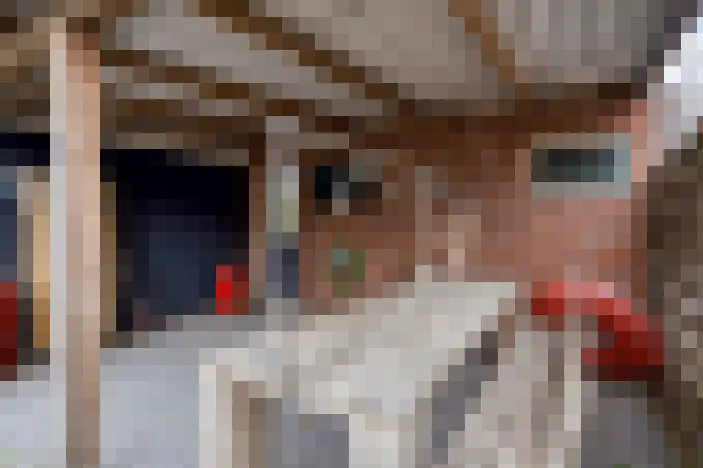 Het Spaan 11 Barger-Compascuum thumbnail 42