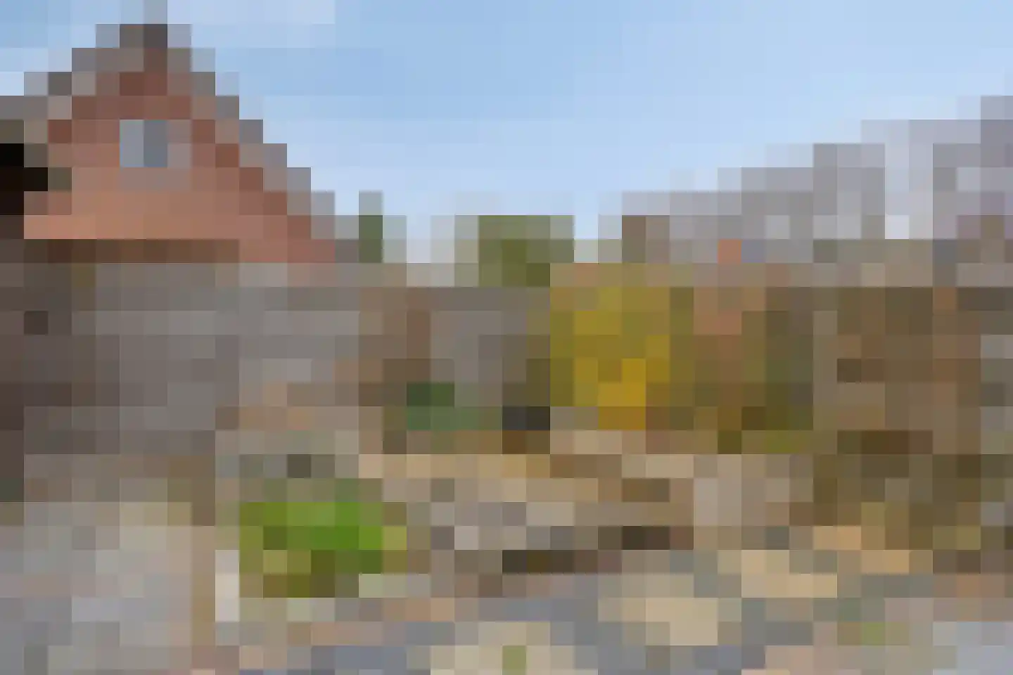 Het Spaan 11 Barger-Compascuum thumbnail 45