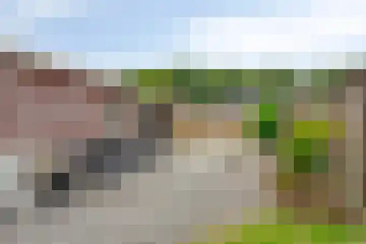 Het Spaan 15 Barger-Compascuum thumbnail 12
