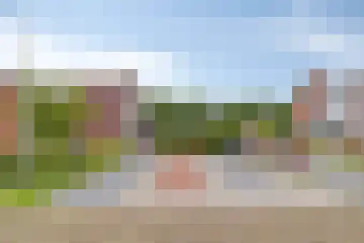 Het Spaan 15 Barger-Compascuum thumbnail 14