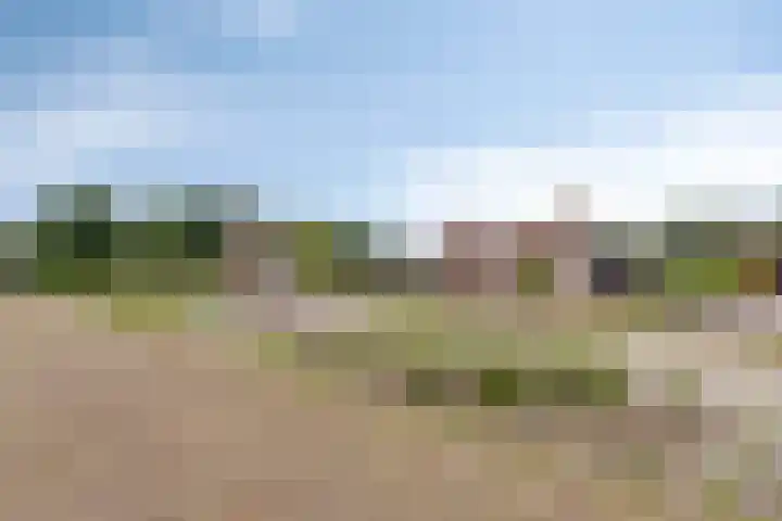 Het Spaan 15 Barger-Compascuum thumbnail 15