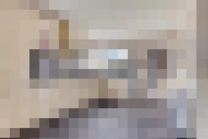 Het Spaan 15 Barger-Compascuum thumbnail 5