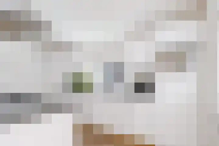 het Spaarne 14 Woerden thumbnail 13