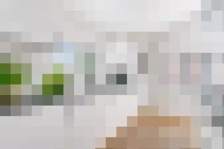 het Spaarne 14 Woerden thumbnail 16