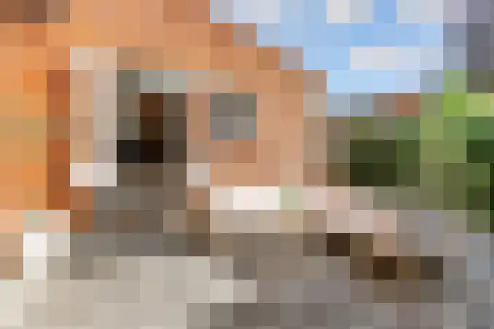 het Spaarne 14 Woerden thumbnail 23