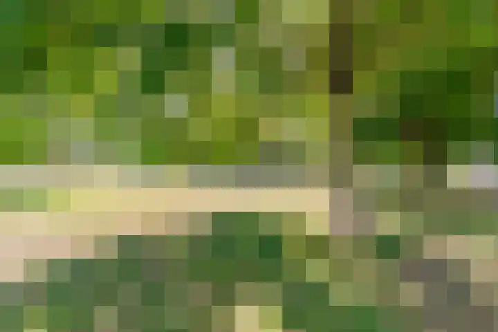 het Spaarne 14 Woerden thumbnail 49