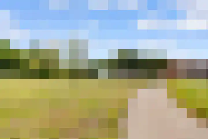 het Spaarne 14 Woerden thumbnail 50