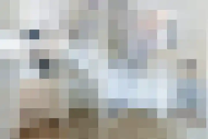 het Spaarne 22 Woerden thumbnail 31