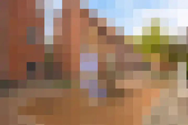 het Spaarne 23 Woerden thumbnail 23
