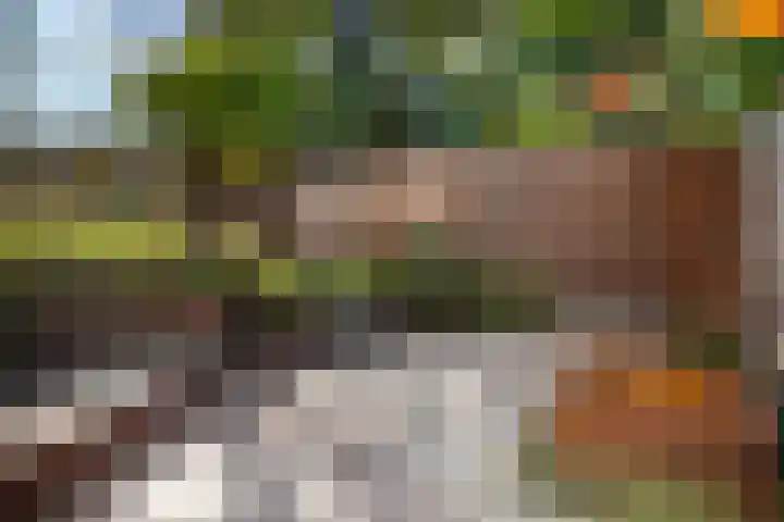 het Spaarne 8 Woerden thumbnail 32