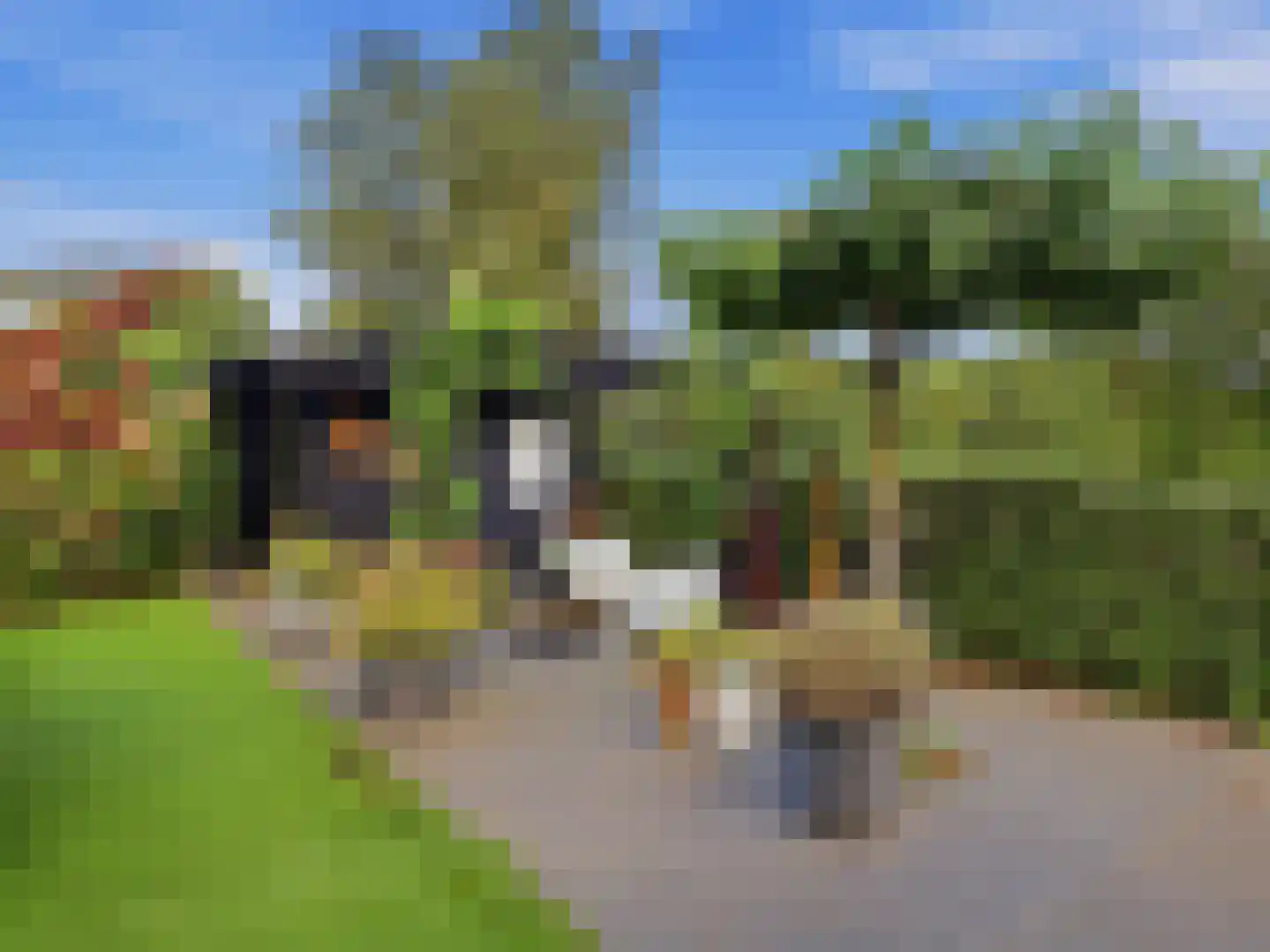 Het Spangoor 15 Warnsveld thumbnail 31