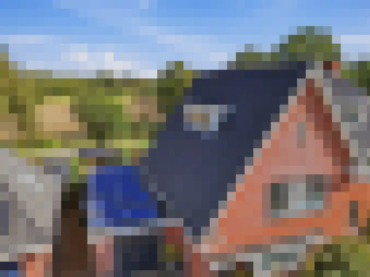 Het Spangoor 15 Warnsveld thumbnail 35