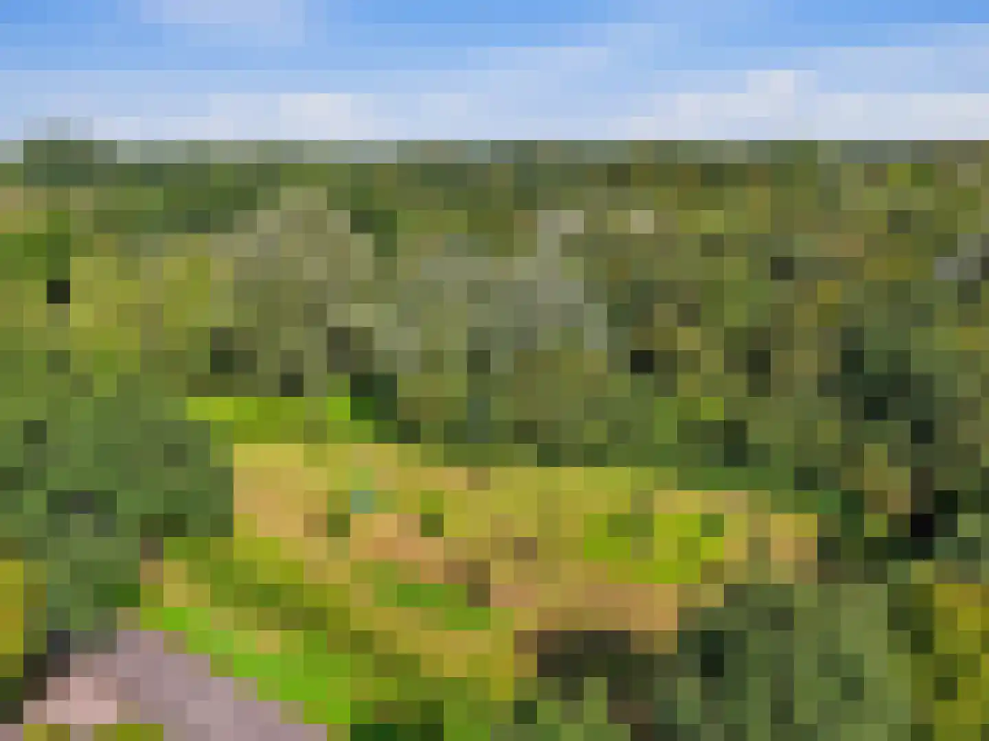 Het Spangoor 15 Warnsveld thumbnail 41