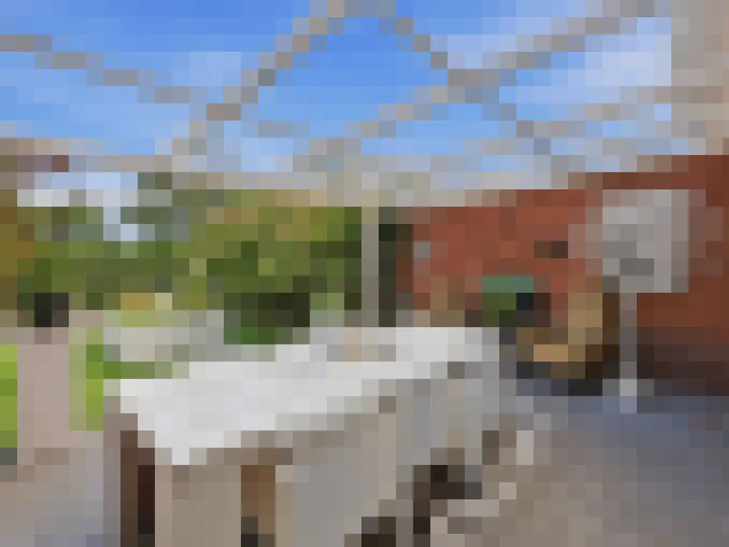 Het Spangoor 15 Warnsveld thumbnail 5