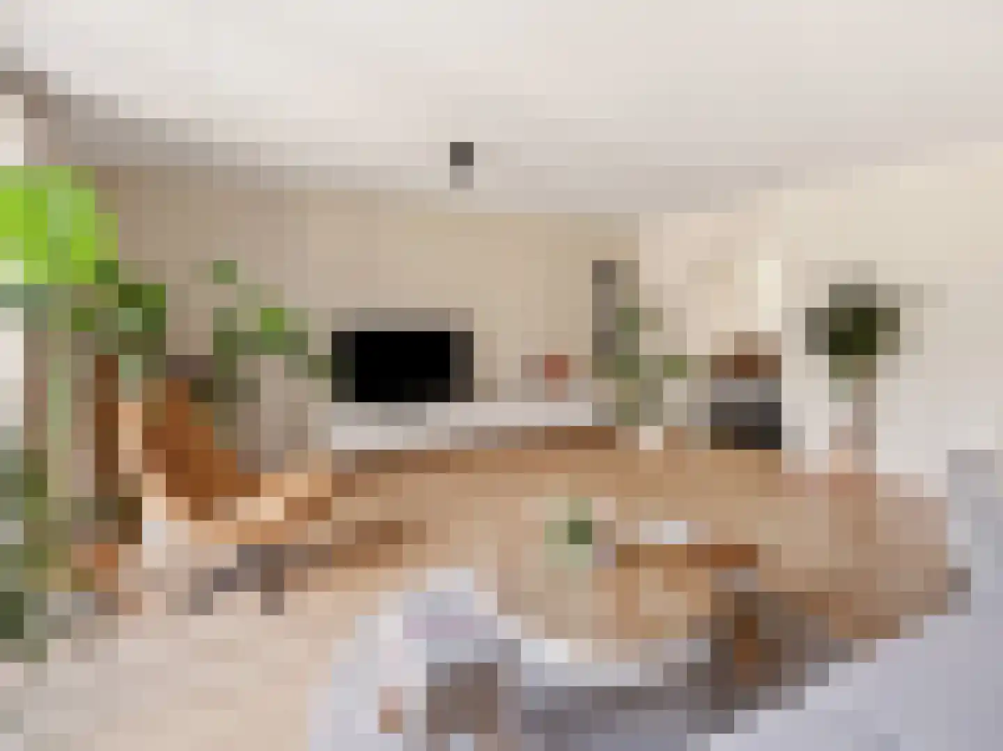 Het Spangoor 15 Warnsveld thumbnail 8