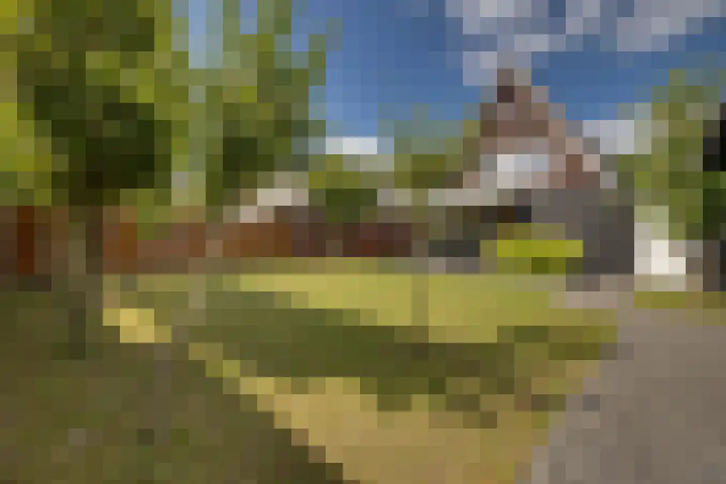 Het Sparrenbos 30 Apeldoorn thumbnail 36