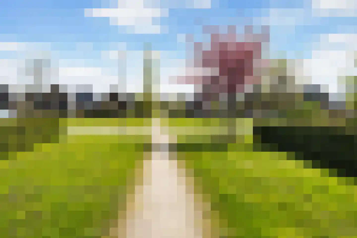 Het Sparrenbos 30 Apeldoorn thumbnail 41