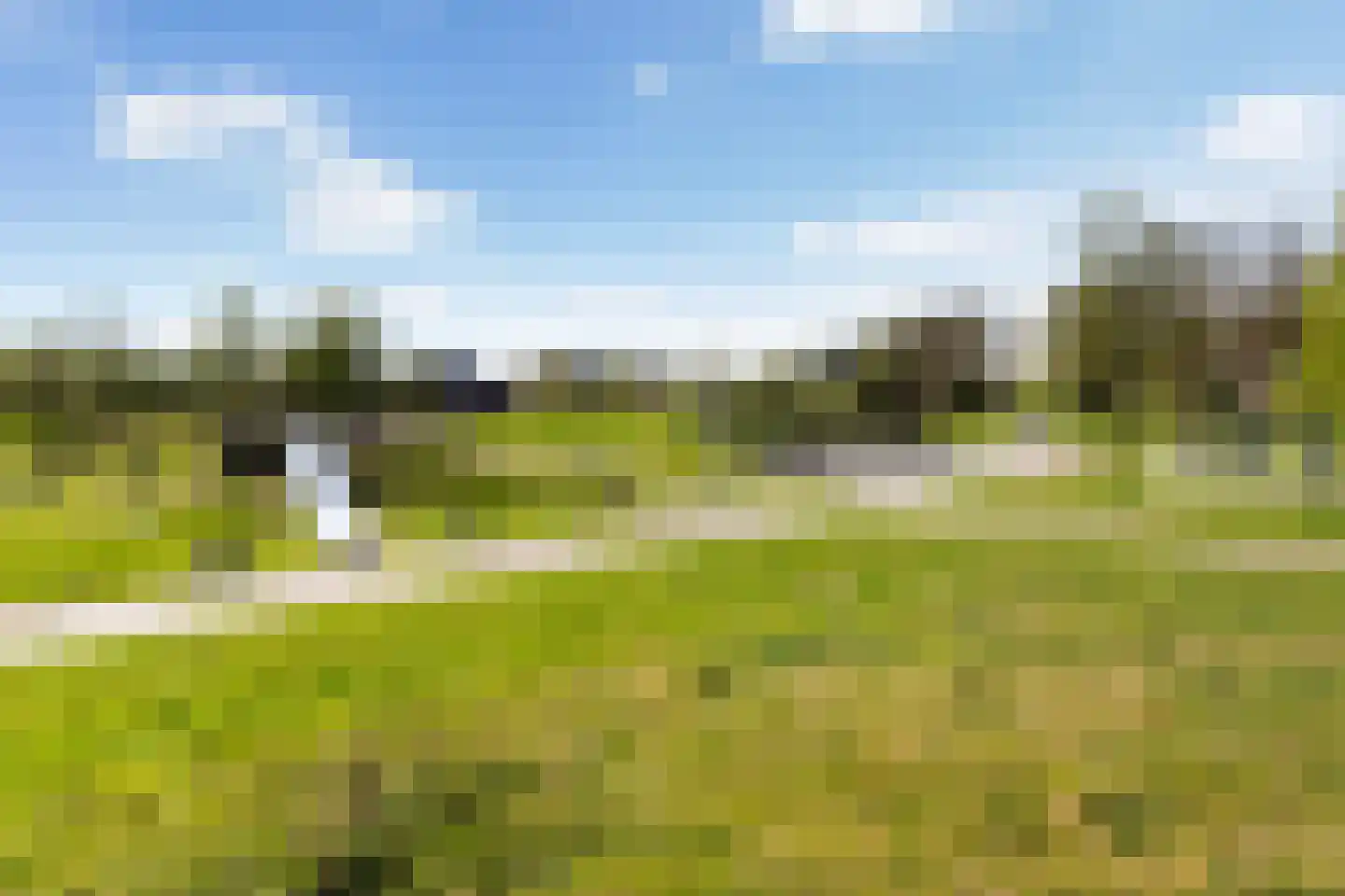 Het Sparrenbos 30 Apeldoorn thumbnail 43