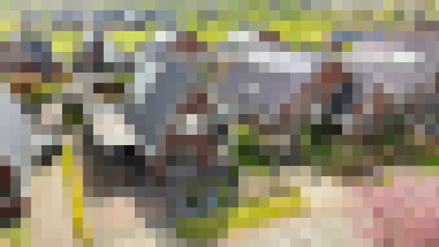 Het Sparrenbos 30 Apeldoorn thumbnail 47