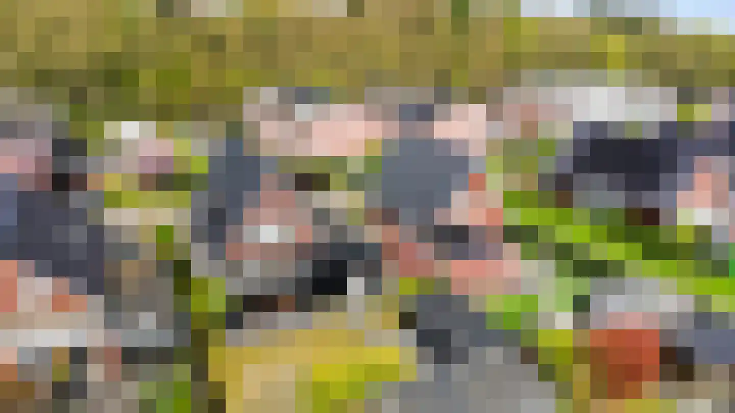 Het Sparrenbos 30 Apeldoorn thumbnail 49