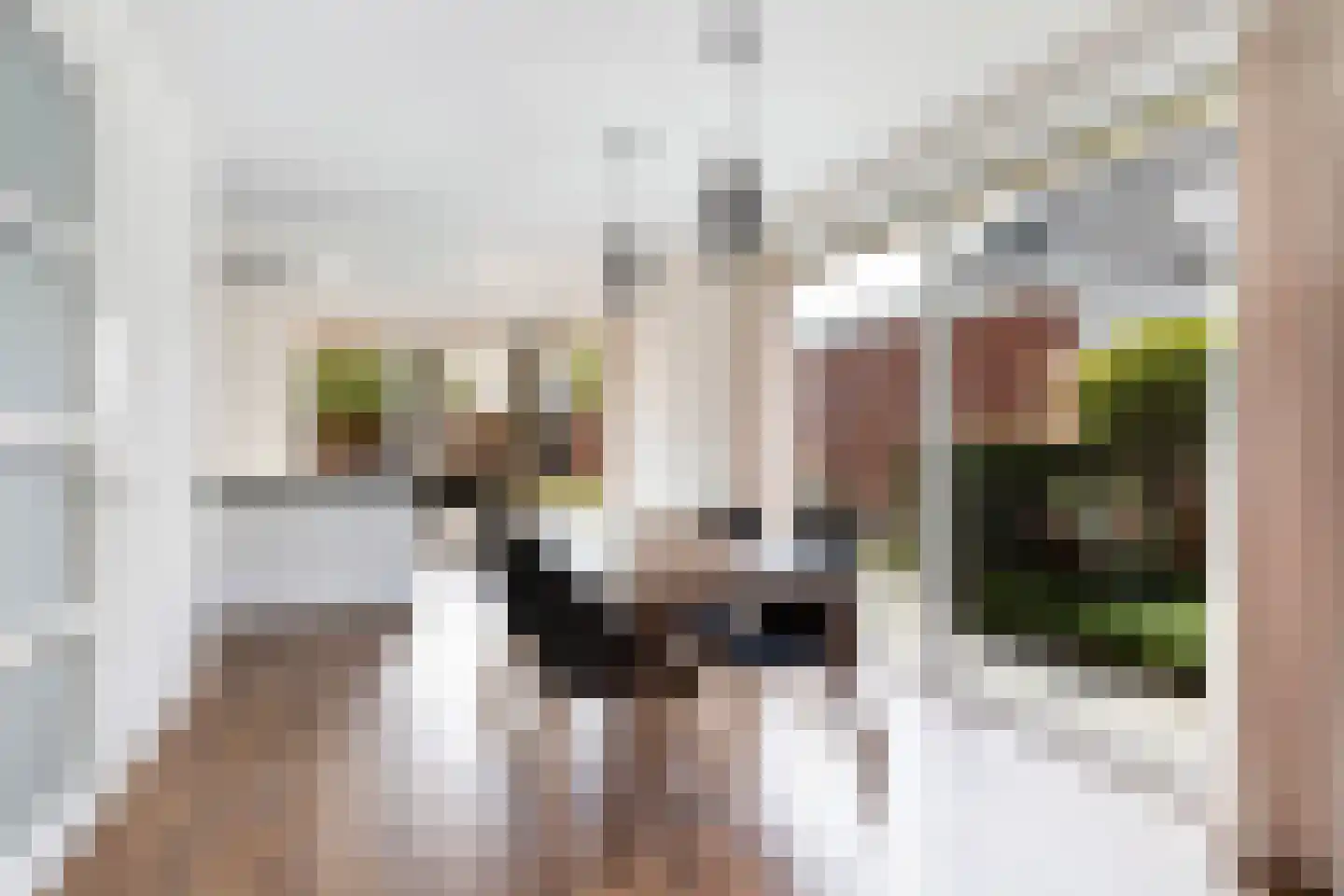 Het Sparrenbos 30 Apeldoorn thumbnail 8