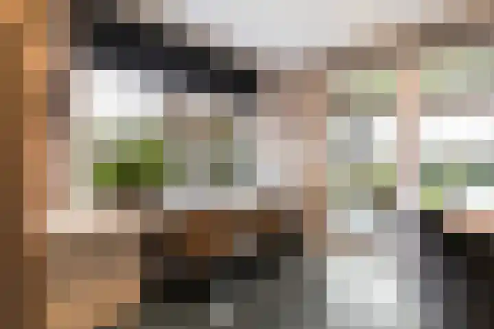 Het Sparrenbos 44 Apeldoorn thumbnail 14