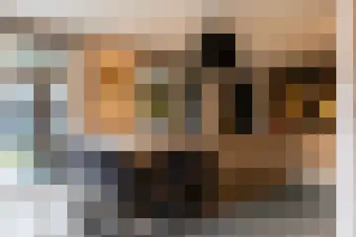 Het Sparrenbos 44 Apeldoorn thumbnail 15