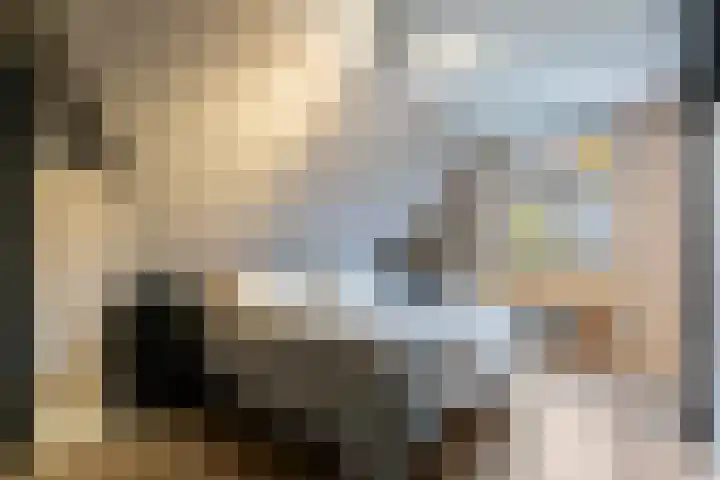 Het Sparrenbos 44 Apeldoorn thumbnail 26