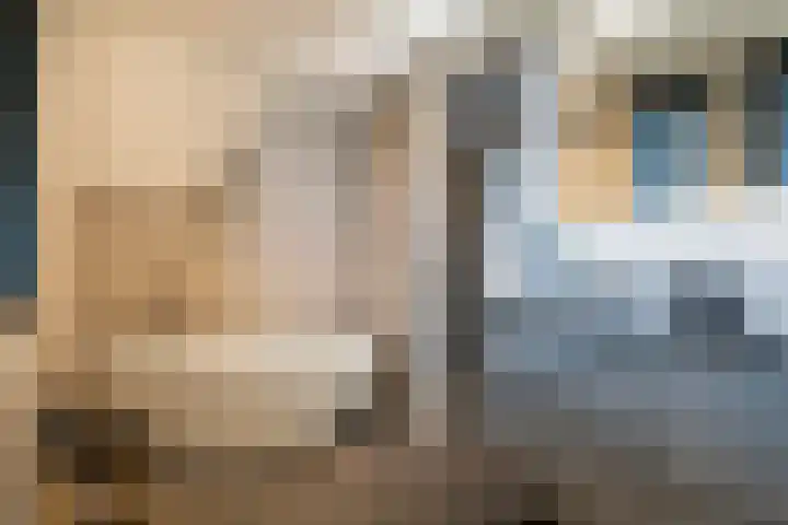 Het Sparrenbos 44 Apeldoorn thumbnail 30
