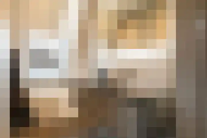 Het Sparrenbos 44 Apeldoorn thumbnail 32