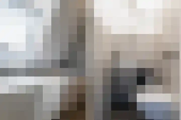 Het Sparrenbos 44 Apeldoorn thumbnail 36