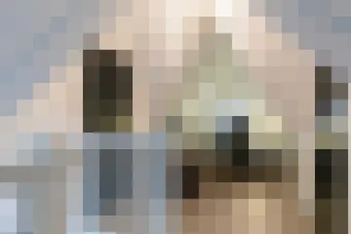Het Sparrenbos 44 Apeldoorn thumbnail 37