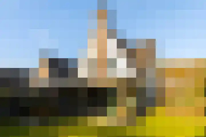 Het Sparrenbos 44 Apeldoorn thumbnail 4