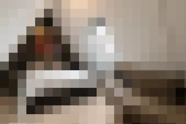 Het Sparrenbos 44 Apeldoorn thumbnail 40