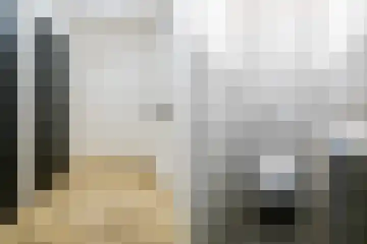 Het Sparrenbos 44 Apeldoorn thumbnail 42