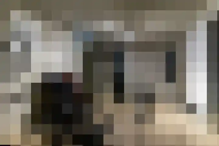 Het Sparrenbos 44 Apeldoorn thumbnail 48