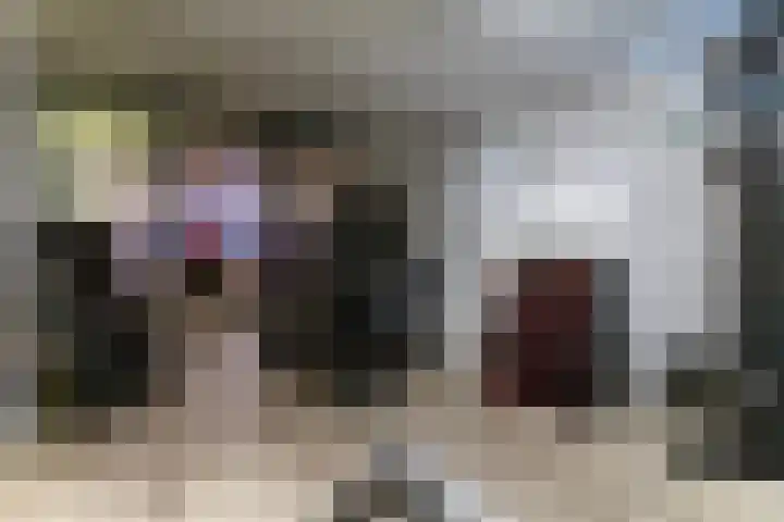 Het Sparrenbos 44 Apeldoorn thumbnail 49