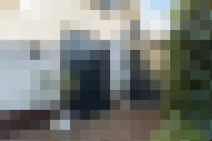 Het Sparrenbos 44 Apeldoorn thumbnail 5