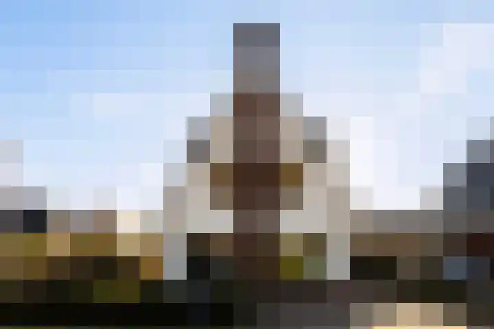 Het Sparrenbos 44 Apeldoorn thumbnail 51
