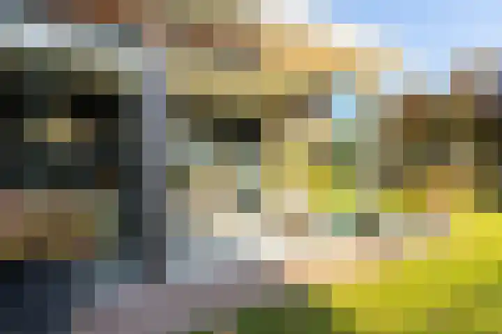 Het Sparrenbos 44 Apeldoorn thumbnail 53
