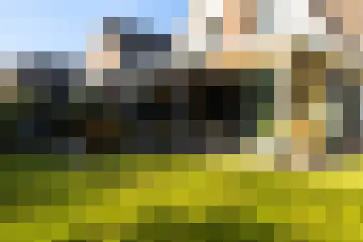 Het Sparrenbos 44 Apeldoorn thumbnail 54