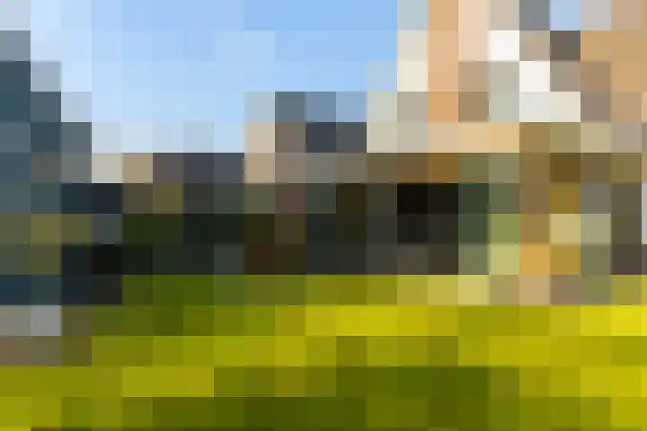 Het Sparrenbos 44 Apeldoorn thumbnail 56